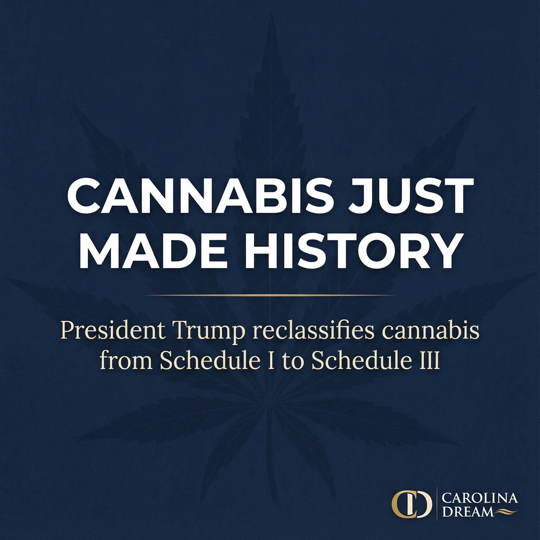 Trump Reschedules Marijuana - December 18th 2025