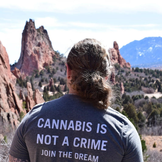 Person wearing a t-shirt with a message about cannabis at a scenic location.